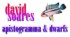 http://www.geocities.com/Heartland/Plains/7918/