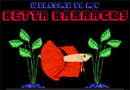 http://betta-barracks.ourfamily.com