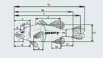 Fish size